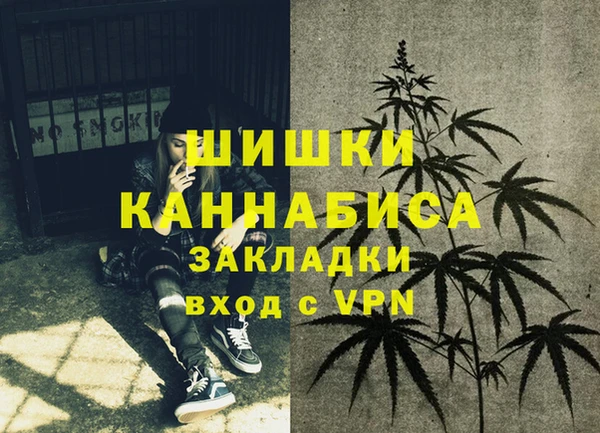 ALPHA PVP Няндома
