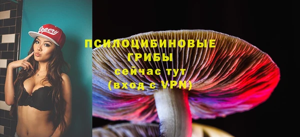 ALPHA PVP Няндома